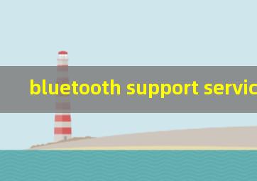 bluetooth support service翻译